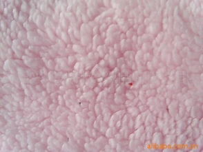 绍兴成城针纺织品 卓越针织面料产品全览