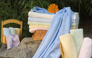 中国针棉织品交易会开拓西部市场战略分析